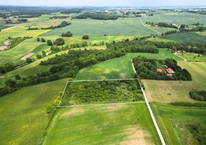 działka na sprzedaż - Świątki, Skolity